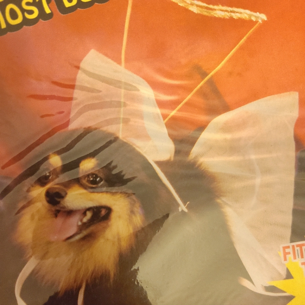 PET ANGEL COSTUME